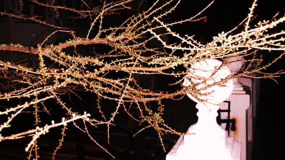 Fyrirlestrar_lífshamingjan