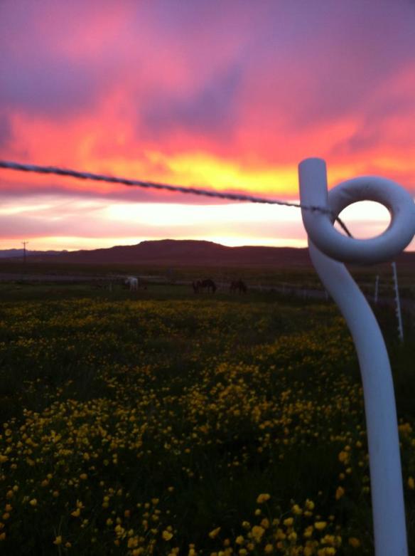 525966_4121119355193_877443323_n