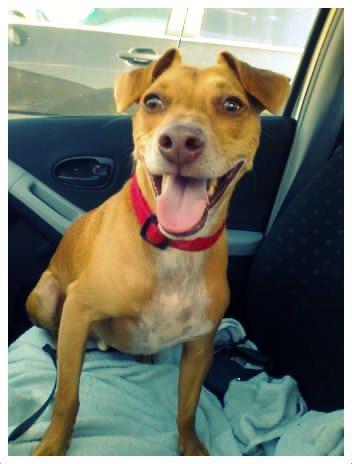 484514_3816273879112_977230617_n