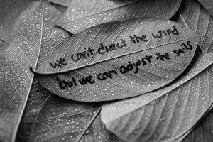 6790427235_69811bef61_z