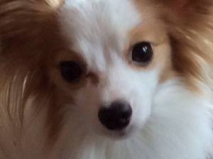 10009878_10202663315077804_1389508939_n (1)