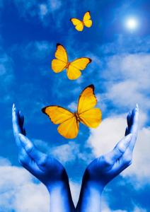 10679950_10152340343462344_8825098239313946217_o