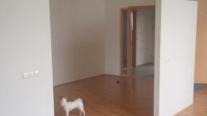 553710_4106805542236_832769237_n